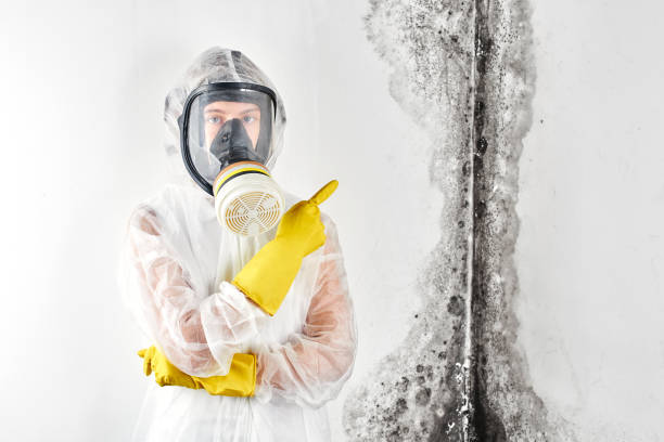 Mold Remediation for Rental Properties in Lakeshore, LA